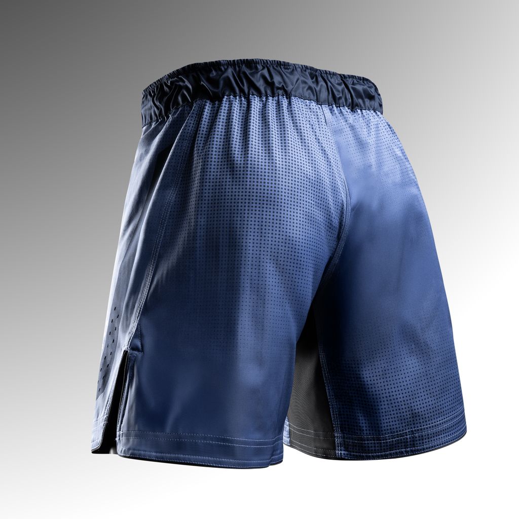 Hayabusa Core Fight Shorts voor heren - Full Length - Blauw
